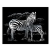 Silver Foil Engraving Art Kit 8"X10"-Zebras