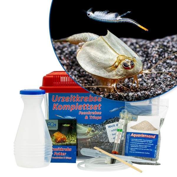 AQ4Aquaristik Triops and Fairy Crabs Prehistoric Crabs Starter Set: Eggs,
