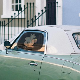 Mr. & Mrs. Panda Car Sun Shade Squirrel Christmas Time - Gift, Sun Car, Good Slide, Advent, New Year, Christmas Eve, Christmas Greeting