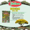 Hoffman Ready to Use Bonsai Soil Potting Mix to Provide