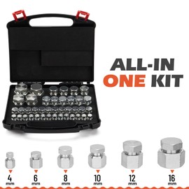 SPARKWHIZ 80pcs JIC 37° Flare Cap and Plug Kit Hose Tube and Pipe Fitting Set Hydraulic Cap and Plug Kit, Dash Sizes 4 6 8 10 12 16