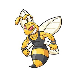 Magnet Angry Yellow Jacket bee Magnetic vinyl bumper sticker sticks to any metal fridge, car, signs 5"