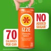 IZZE Sparkling Juice Beverage Blend, Mango, No Sugar Added, 8.4