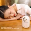 Humidifier Aroma Diffuser USB Power Supply 300ml Capacity Auto Shutdown