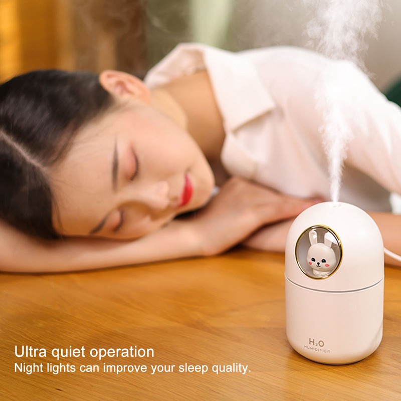 Humidifier Aroma Diffuser USB Power Supply 300ml Capacity Auto Shutdown