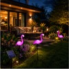 Solar Flamingo Garden Lights for Outdoor Decor – IP65 LED