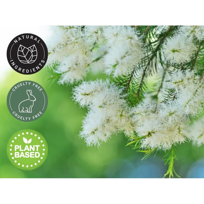 GreenHealth Tea Tree Essential Oil 100% Pure - 1 fl