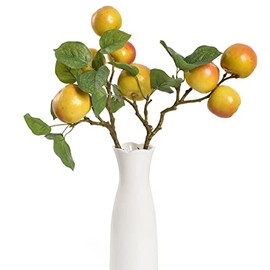 Hagao Artificial Apple Branches Artificial Fruit Highly Simulation Lifelike Model for Vase Home Party Decoration 2 pcs