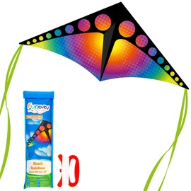 Funtivity® Single Line Kite for Children - Delta Black Rainbow - Flight Kite Set Including 17kp Line & Handle - Children's Kite from 5 Years - Flies in Low Wind - Robust - Outdoor Toy