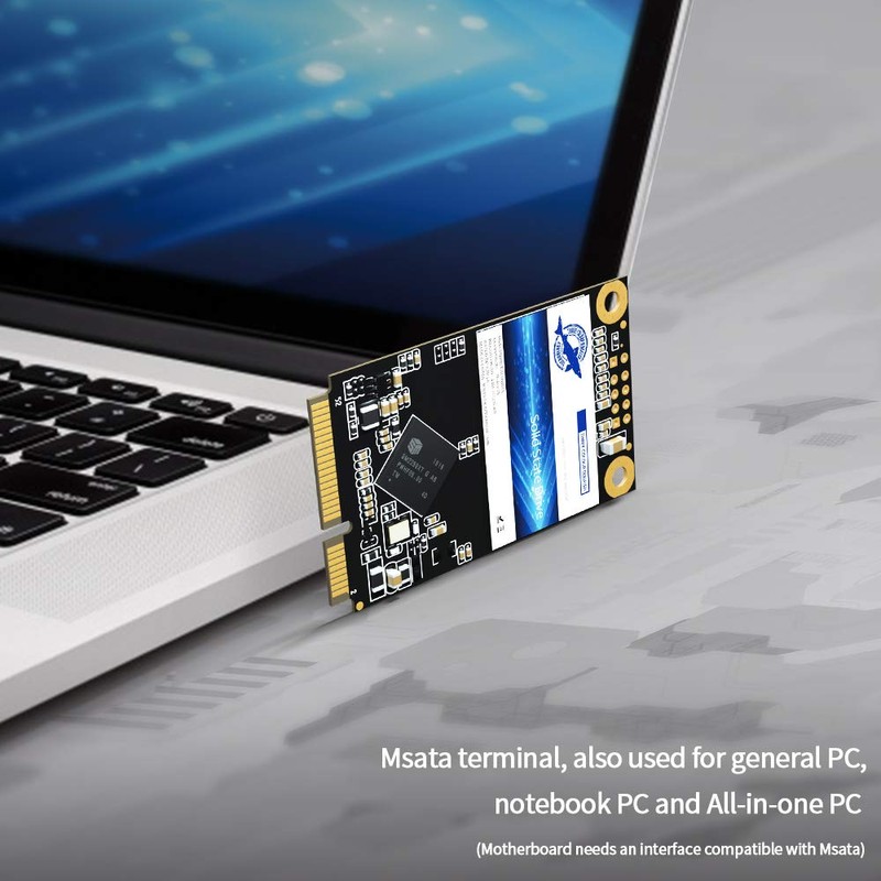 Dogfish Msata - Disco SSD interno (32 GB, SATA)