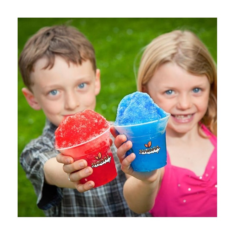 Syruvia Snow Cone Syrup 12.7oz - Fruit Punch, Lime, Root