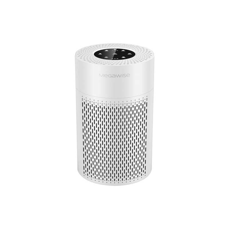 MEGAWISE Updated Version Air Purifier (1, Medium)