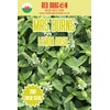 Mrs Burns’ Lemon Basil Seeds – Fragrant Citrus Basil for