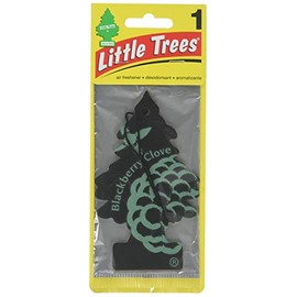 Car Freshner Little Trees BlackBerry Clove 24 Pack