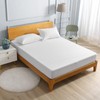 Bedecor swanskin waterproof mattress cover, mattress protector, Molton, 100 x