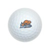 GRAPHICS & MORE Bucknell University Novelty Golf Balls 3 Pack