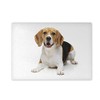 Glass Chopping Board 20 x 28 x 0.4 cm Beagle