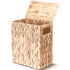 Vesici 3 Gallon Wicker Waste Basket with Lid Wicker Trash