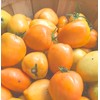 Goldfish Tomato Seeds (Solanum lycopersicum) 150 Seeds (0.5 Grams)