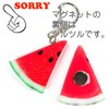 Food Sample Magnet, Likely to Eat, Watermelon, 037M