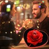 KKPLZZ 3D Rose Ring Box, Engagement Ring, Creative Jewellery Box,