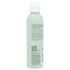 EcoTools Makeup Brush + Sponge Shampoo, Fragrance Free, 6 fl