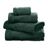 NEXT Home Egyptian Cotton Towels - 100% Cotton (Size) Green