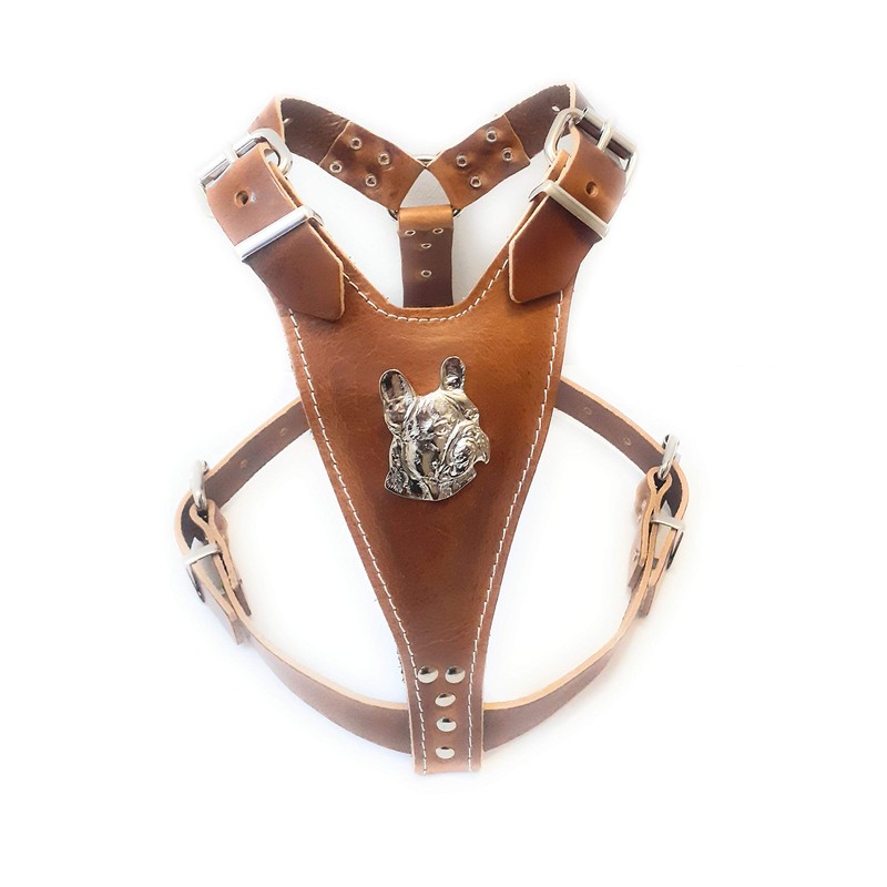 Beautiful Brown Leather Dog Harness Medium Size with French Bulldog
