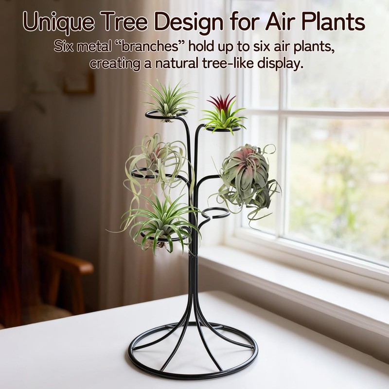 Air Plant Holder Iron Tree Stand Metal Air Plant Display