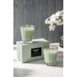 NEST Fragrances WELLNESS Set of Two 8.1 oz Candles, Wild Mint & Eucalyptus, Gift