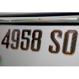 3D Lettering Boat Registration Stickers - Domed Carbon Fiber Numbers with Bronze Trim