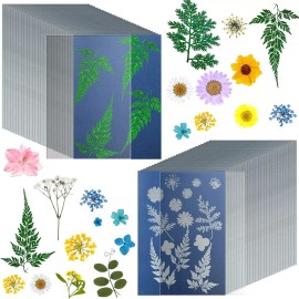 38 Sheets Cyanotype Paper A5 Sun Print Paper Kit with 2 Clear Acrylic Sheets Hig