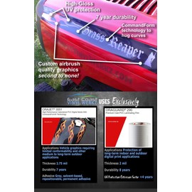 East Coast Vinyl Werkz Hotrod Hood Stripe Flames Lawn Mower Decals Stickers - 2pc Mirrored Set - Funny Decals for John Deere, Murray, Poulan, Craftsman, Husqvarna Lawn mowers. (American Eagle Sunset)