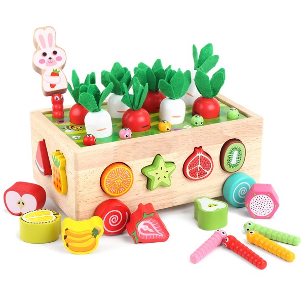Toddlers Montessori Wooden Educational Toys for Baby Boys Girls Age 1 2 3 Year Old, Shape Sorting Toys Gifts for Kids 1-3, Wood Preschool Learning Fine Motor Skills Game