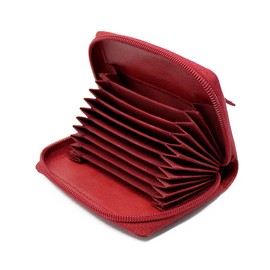STARHIDE Womens RFID Blocking Small Leather Fan Concertina Palm Credit Card Holder 1234 (Red)