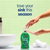Softsoap Limited Edition Wonderful Winter Liquid Hand Soap, 11.25 oz,