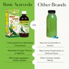 Basic Ayurveda Bitter Gourd (Karela) Juice | 16.23 Fl Oz
