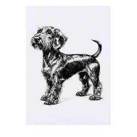 'Standard Wire-haired Dachshund Side View' Temporary Tattoo - Water Resistant, Skin-Safe, Non-Toxic Transfer (TO00081607)