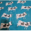 GFM® Women's Dairy Cow Print Scarf - Teal - (FS-PSCF-CW-691-TL)