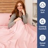 CGK Unlimited Extra Deep Twin Sheet Set - 4 Piece