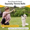 susu & wuwu 12 Pack Squeaky Balls for Small Dogs,
