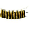 ZYOOO 20 Pieces Tissue Paper Tassels Garland, Black Gold Paper