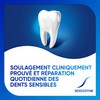 Sensodyne Toothpaste Repairs & Protects Fresh Mint for Sensitive Teeth
