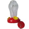 Humming Birds Feeders for Outside - Decorative Birdfeeder with Hanging