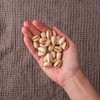 Nichols Farms California Pistachios Roasted Salted, Organic With Sea Salt,