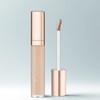 Arial Ink Feeder Perfect Fit Concealer 6.5g, 02 Nude Natural,