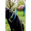 Anipal Kylo The Koala Dog Leash - Made from Recycled