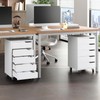 HOOBRO 5-Drawer File Cabinet, Under Desk Mobile Filing Cabinet with