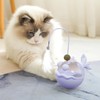 Cat Toys Interactive, Kitten Chasing Catnip Teaser, Sensory Exercise Treat