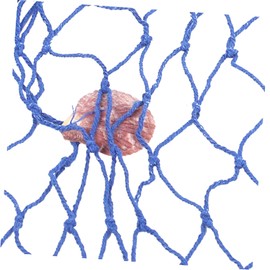 ORFOFE Fish Net Wall Decor Decorative Fishing Net Nautical Wall Art for Office Home